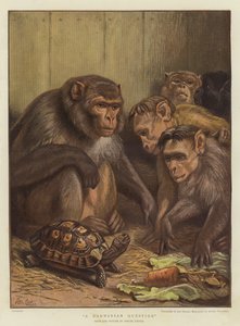 Darwinci Bir Soru (chromolitho)